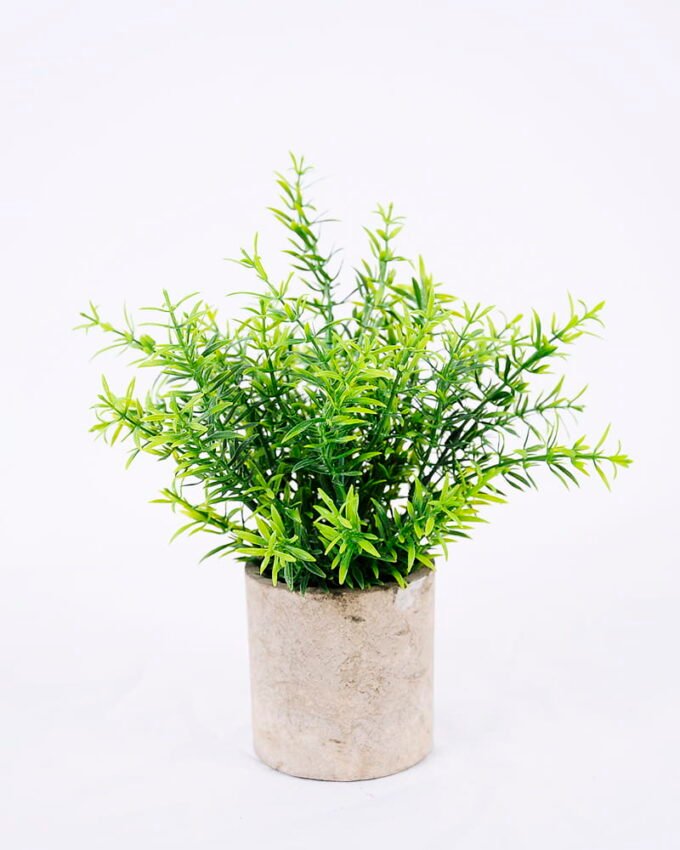 Artificial Plant 18*18*22cm Grass In Paper Pot GS-38920009
