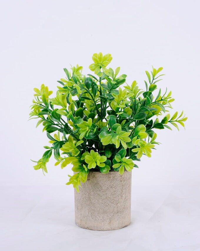 Artificial Plant 18*18*22cm Grass In Paper Pot GS-38920011