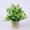 Artificial Plant 18*18*23cm Grass In Paper Pot GS-38920014-W1