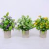 Artificial Plant 18*18*23cm Grass In Paper Pot GS-38920014-W1