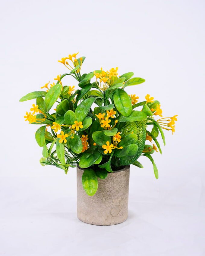 Artificial Plant 18*18*23cm Grass In Paper Pot GS-38920014-Y1