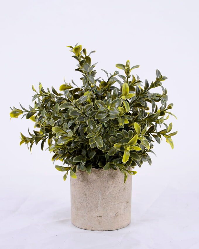 Artificial Plant 18*18*22cm Grass In Paper Pot GS-38920015