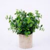 Artificial Plant 18*18*22cm Grass In Paper Pot GS-38920016