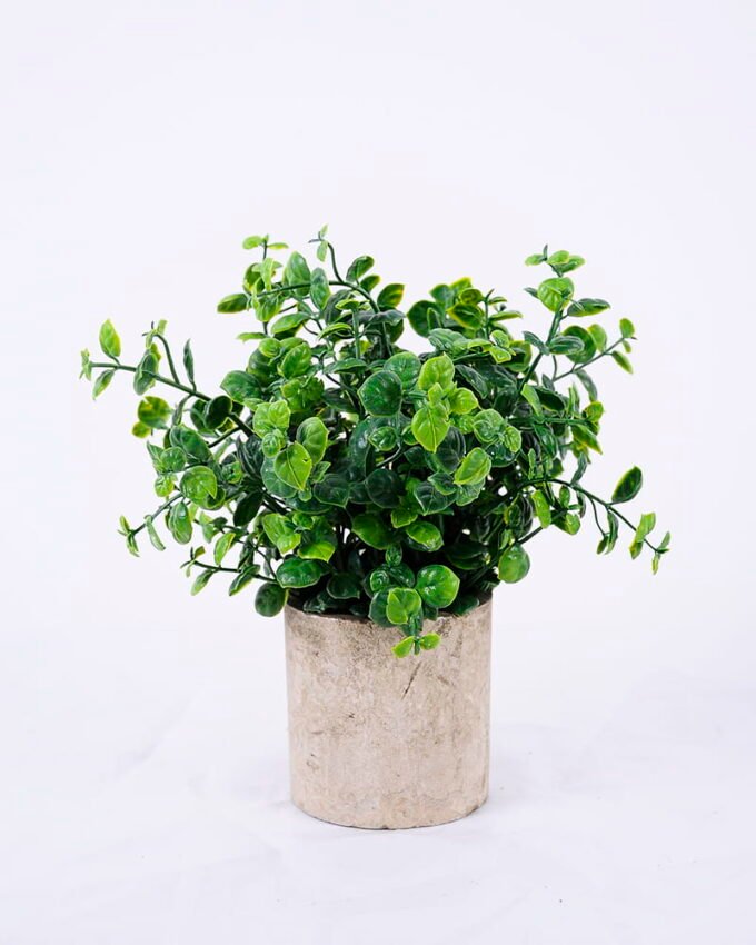 Artificial Plant 18*18*22cm Grass In Paper Pot GS-38920016