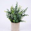 Artificial Plant 20*20*24cm Grass In Paper Pot GS-38920017