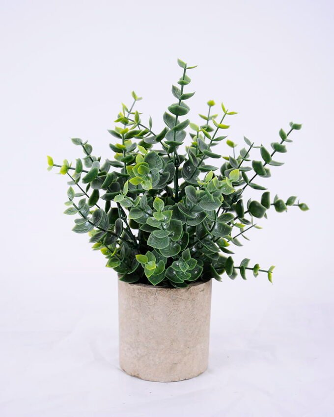 Artificial Plant 20*20*24cm Grass In Paper Pot GS-38920017