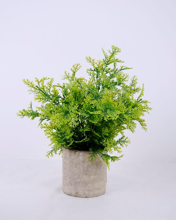 Artificial Plant 22*22*25cm Grass In Paper Pot GS-38920018