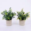 Artificial Plant 18*18*24cm Grass In Paper Pot GS-38920020