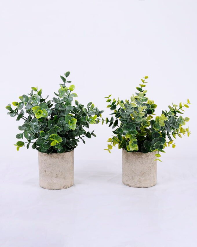 Artificial Plant 18*18*24cm Grass In Paper Pot GS-38920020