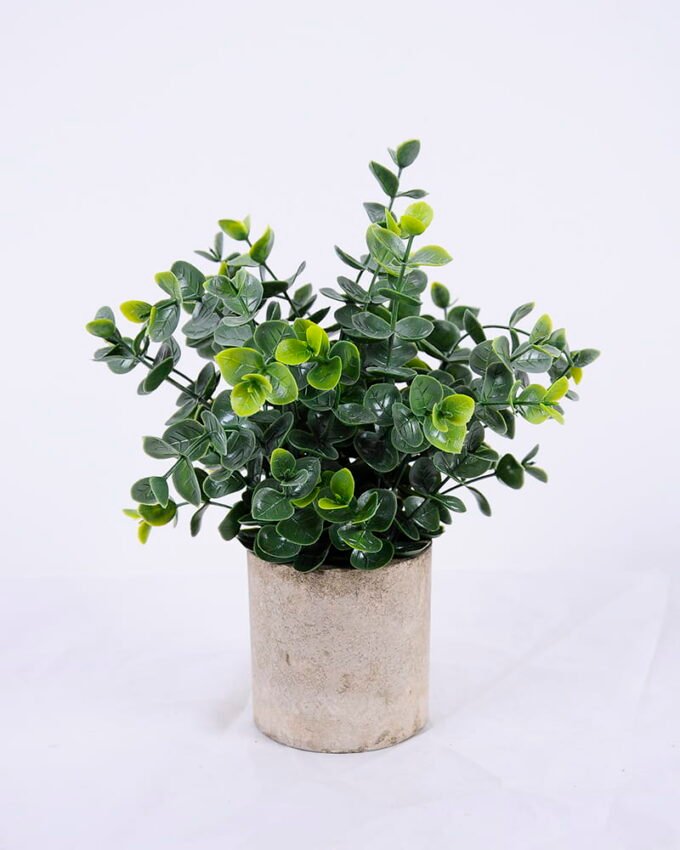 Artificial Plant 18*18*24cm Grass In Paper Pot GS-38920020