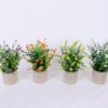 Artificial Plant 18*18*24cm Grass In Paper Pot GS-38920021-O1