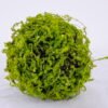 Artificial Plant 19*17*17CM Grass ball GS-61320007