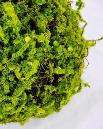 Artificial Plant 19*17*17CM Grass ball GS-61320007