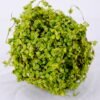 Artificial Plant 13*13*13CM Grass ball GS-61320012