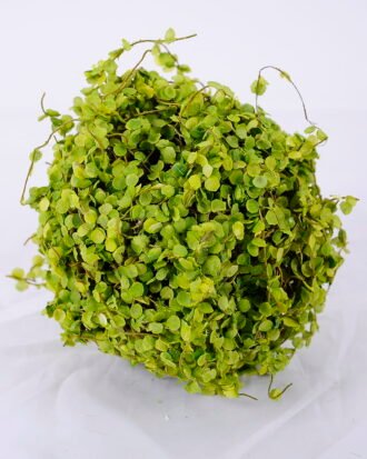 Artificial Plant 13*13*13CM Grass ball GS-61320012