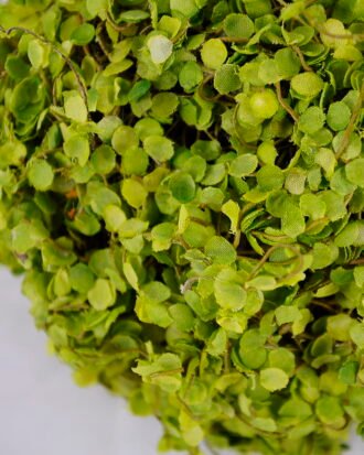 Artificial Plant 13*13*13CM Grass ball GS-61320012