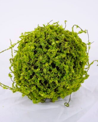 Artificial Plant 14*13*13CM Grass ball GS-61320017