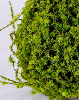 Artificial Plant 14*13*13CM Grass ball GS-61320017