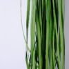 Artificial Plant 132*12*132CM Hanging plastic grass GS-61220005-G1