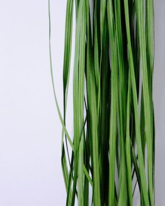 Artificial Plant 132*12*132CM Hanging plastic grass GS-61220005-G1