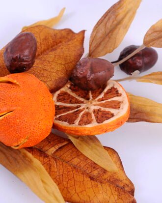 Artificial Plant 18*35CM Orange spray GS-13620021