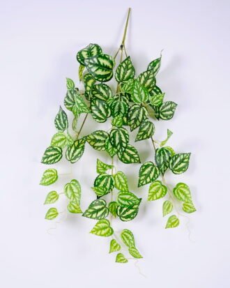 Artificial Plant 35*70CM Pachyrhizus Lvs Hanging GS-05520098 Leaves&Sprays&Foliages YeahFlower is one of Chinese leading OEM manufacturers and exporters , supplying the silk flowers, wholesale artificial trees Artificial Plant 35*70CM Pachyrhizus Lvs Hanging GS-05520098