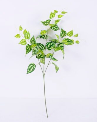 Artificial Plant 35*80CM Pachyrhizus Lvs Spray GS-05520104 Leaves&Sprays&Foliages YeahFlower is one of Chinese leading OEM manufacturers and exporters , supplying the silk flowers, wholesale artificial trees Artificial Plant 35*80CM Pachyrhizus Lvs Spray GS-05520104