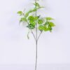 Artificial Plant 30*67CM Pachyrhizus Lvs Spray GS-05520110