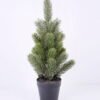 Artificial Plant Pine needle in plastic pot GS-33020012_3 Artificial Plant 15*15*39CM Pine needle in plastic pot GS-33020012