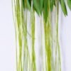 Artificial Plant 118*13*118CM Plastic grass spray GS-61220003