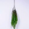 Artificial Plant 98*11*98CM Plastic grass spray GS-61220009