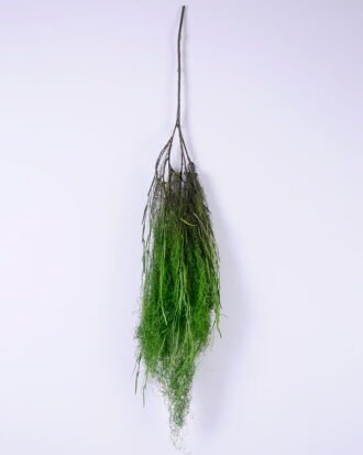 Artificial Plant 98*11*98CM Plastic grass spray GS-61220009
