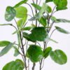 Artificial Plant 50*42*104CM Polyscias balfouriana/lvs110 GS-48520123