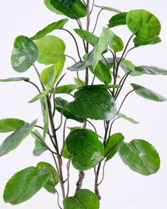 Artificial Plant 50*42*104CM Polyscias balfouriana/lvs110 GS-48520123