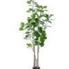 Artificial Plant 89*89*203CM Polyscias balfouriana/lvs163 GS-48520145
