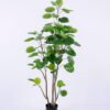 Artificial Plant 63*63*139CM Polyscias balfouriana/lvs89 GS-48520143