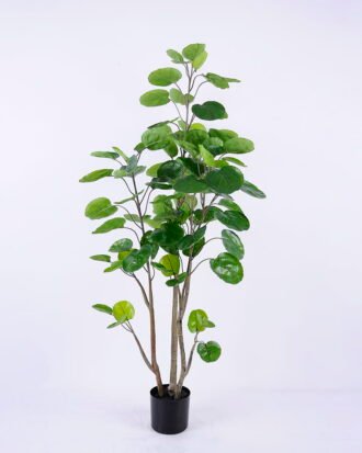 Artificial Plant 63*63*139CM Polyscias balfouriana/lvs89 GS-48520143