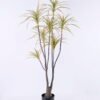 Artificial Plant 78*78*151CM Potted Tree/lvs170 GS-48520126