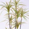 Artificial Plant 78*78*151CM Potted Tree/lvs170 GS-48520126