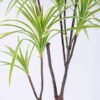 Artificial Plant 82*82*171CM Potted Tree/lvs234 GS-48520127