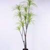 Artificial Plant 82*82*171CM Potted Tree/lvs234 GS-48520127