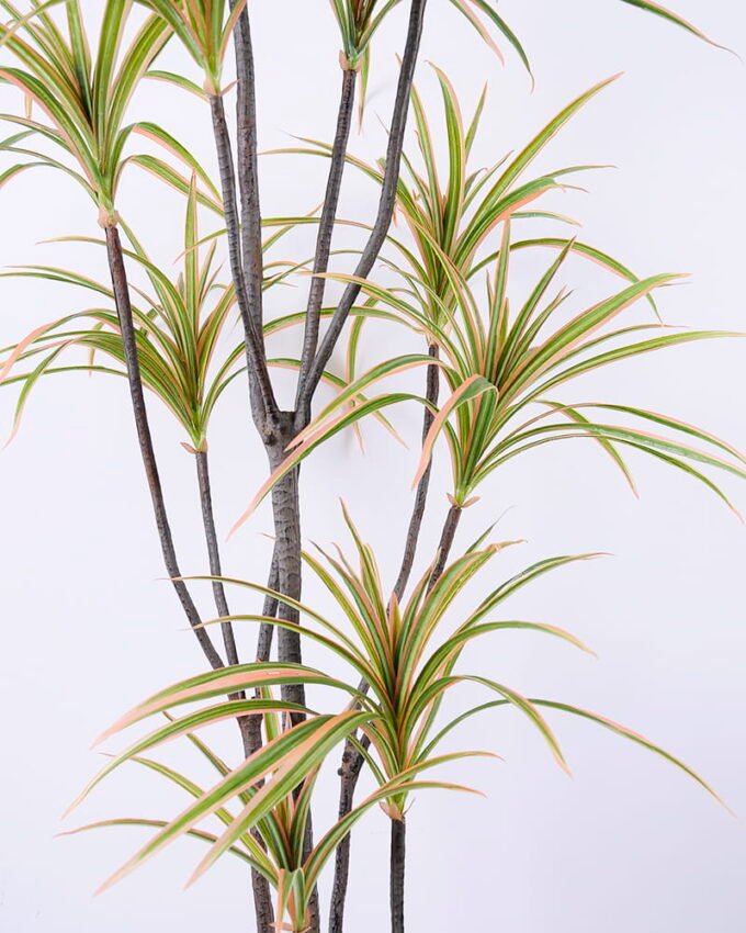 Artificial Plant 82*86*218CM Potted Tree/lvs286 GS-48520128