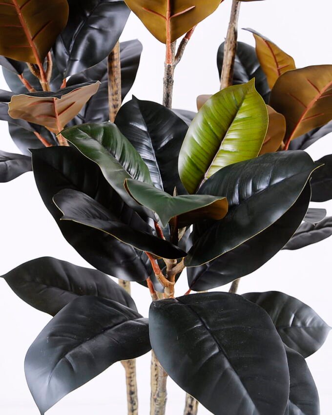 Artificial Plant 70*68*166CM Rubber wood tree in plastic pot/lvs84 GS-48520133