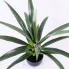 Artificial Plant 57*58*54CM Sisal In Plastic Pot/lvs18 GS-48520135