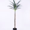Artificial Plant 55*56*124CM Sisal In Plastic Pot/lvs22 GS-48520138