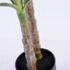 Artificial Plant 60*55*112CM Sisal In Plastic Pot/lvs27 GS-48520139
