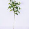 Artificial Plant 28*93cm Sweet bean leaf*6 GS-49820002