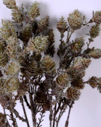 Artificial Plant 14*45cm Wild fruit bouquet*3 GS-40720013-G1