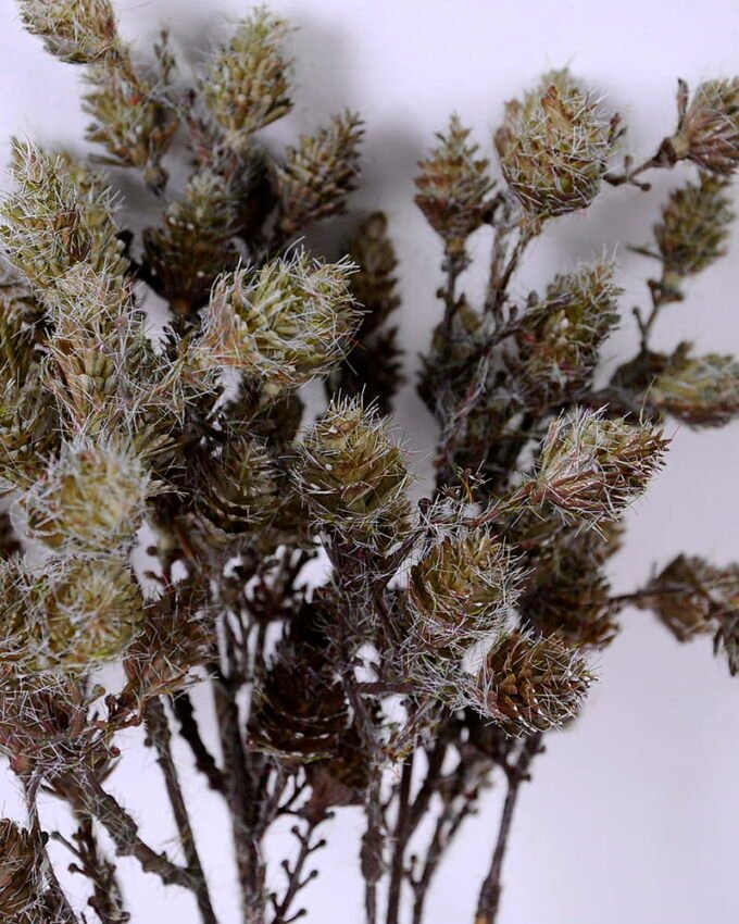 Artificial Plant 14*45cm Wild fruit bouquet*3 GS-40720013-G1