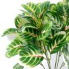 Artificial Plant 30*40CM fittonia Leaf Bush*7 GS-29820038